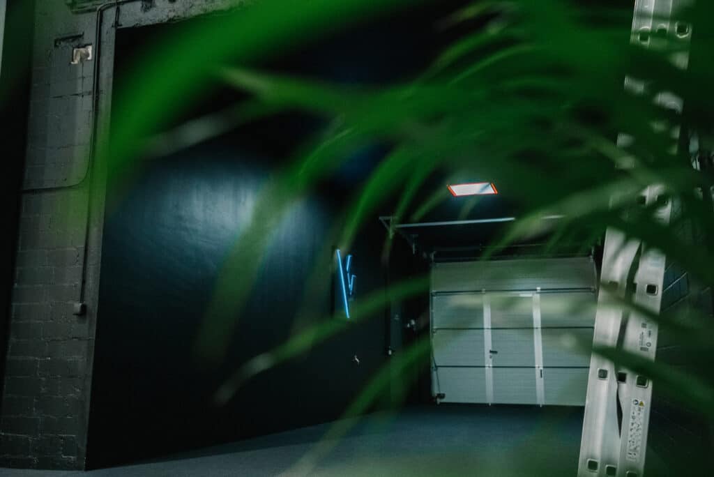 Pflanze im Greenscreen Studio Köln